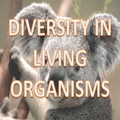 Diversity in living organism