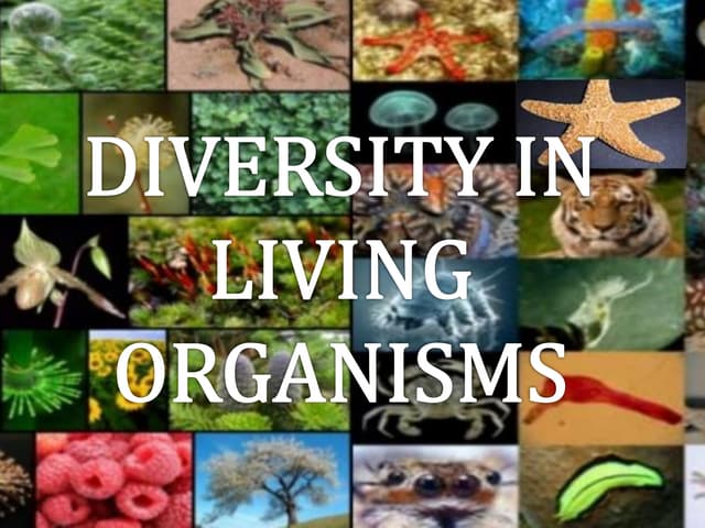 Diversity in living organisms