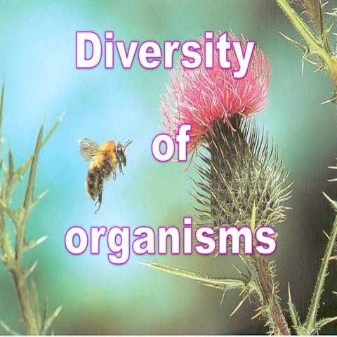 Diversity of organisms