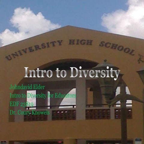 Diversity portfolio elder