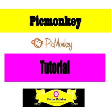 How to use  picmonkey for a beginner
