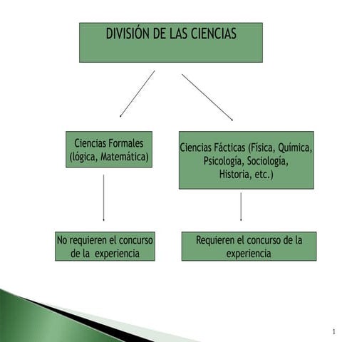 División de las ciencias | PPT
