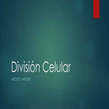 Division celular