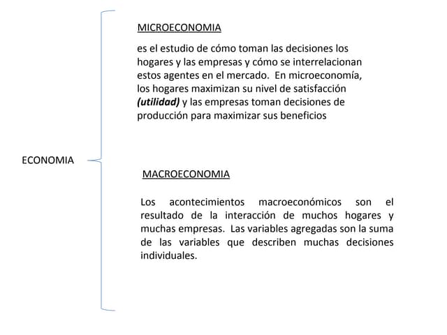Divisiones De La Economia