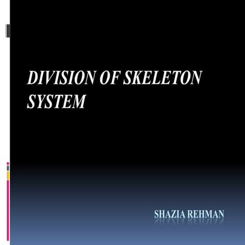 Division of human skeleton system