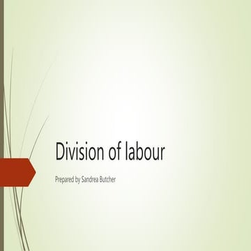 Division of labour