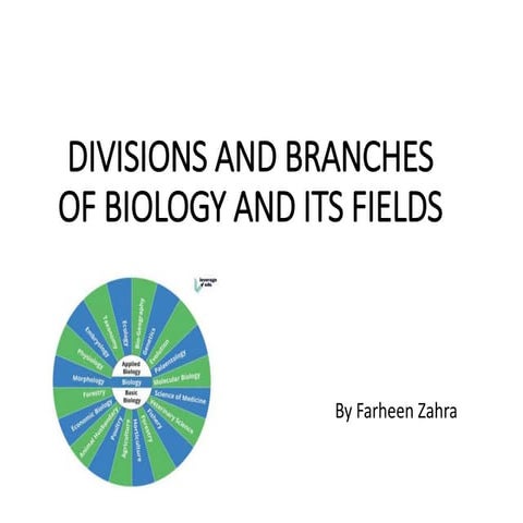 DIVISIONS AND B-WPS Office-1.pptx