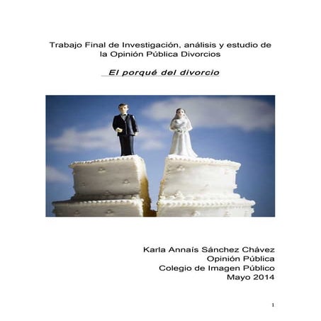 Divorcio proyecto final op