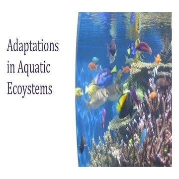 Aqauatic systems adaptation.pptx