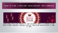 Diwali SEO campaign case study for online shopping websites