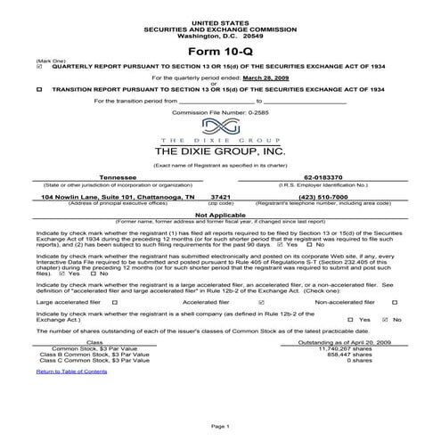 Q1 2009 Earning Report of Dixie Group