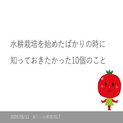 水耕栽培を始めたばかりの時に知っておきたかった10個のこと