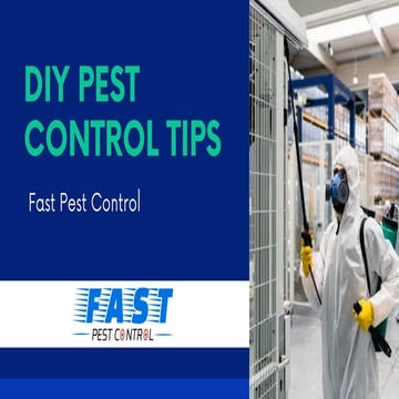 Moths Control.pptx