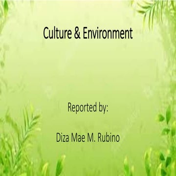 diza-Culture-Environment.diza-report.pptx