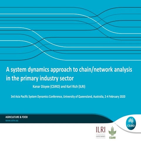 A system dynamics approach to chain/network analysis in the primary industry ...