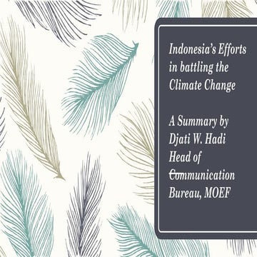 Indonesia’s Efforts in battling the Climate Change 