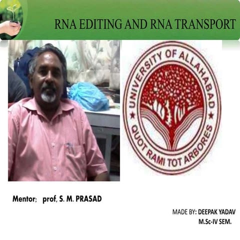 Rna editing1