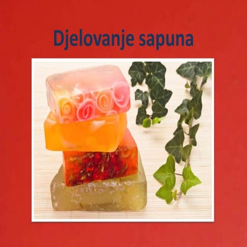 Djelovanje sapuna | PPTX