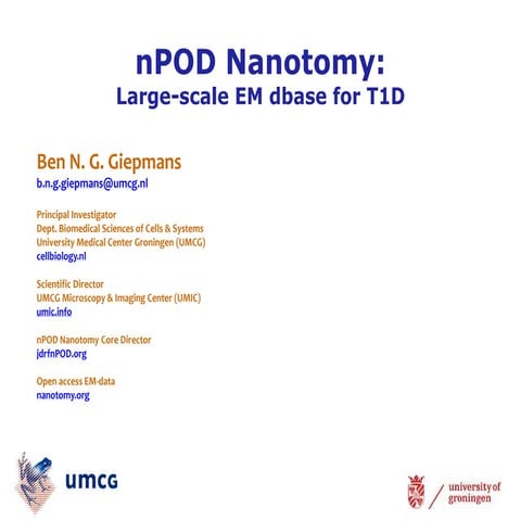 dkNET Webinar - nPOD Nanotomy: Large-Scale Electron Microscopy Database For H...