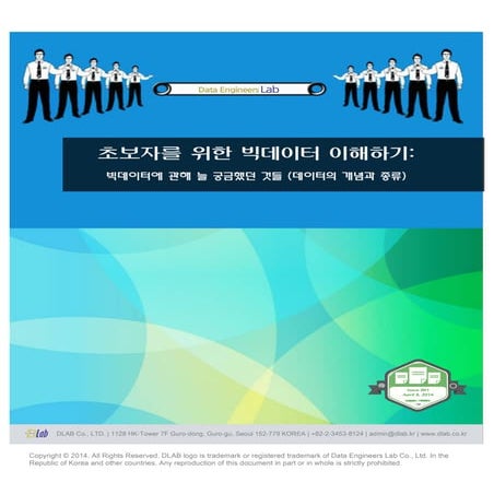 DLAB Big Data Issue Report 001