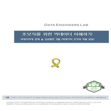 DLAB Big Data Issue Report 003