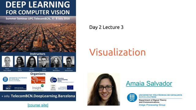 Deep Learning for Computer Vision: Visualization (UPC 2016)