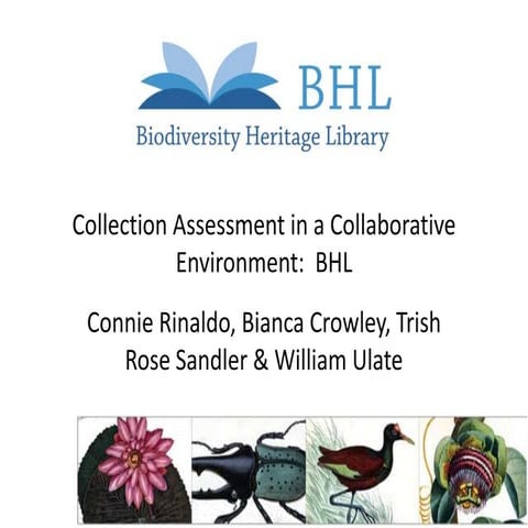 Collection assessment in a collaborative environment: Biodiversity Heritage L...