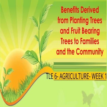 TLE GRADE 6 Week ONE presentation sample