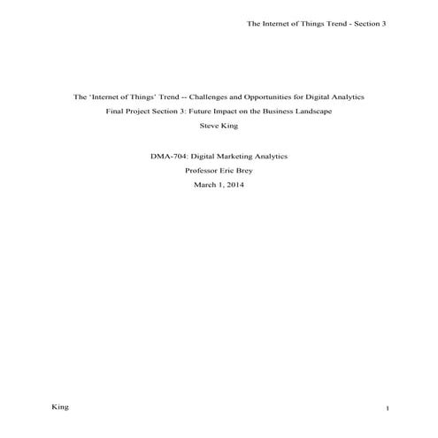 DMA 704 Final Project Sec 3 SKing