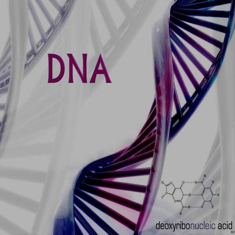 Dna structure  rohit bharti