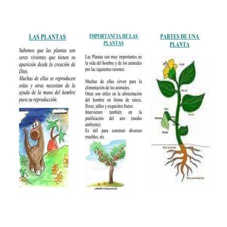 Triptico de las plantas