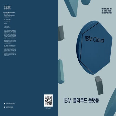 IBM 클라우드플랫폼 DM 2017
