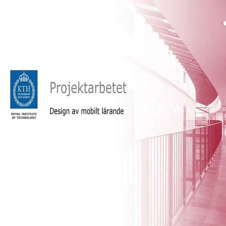 DML - Projektarbetet