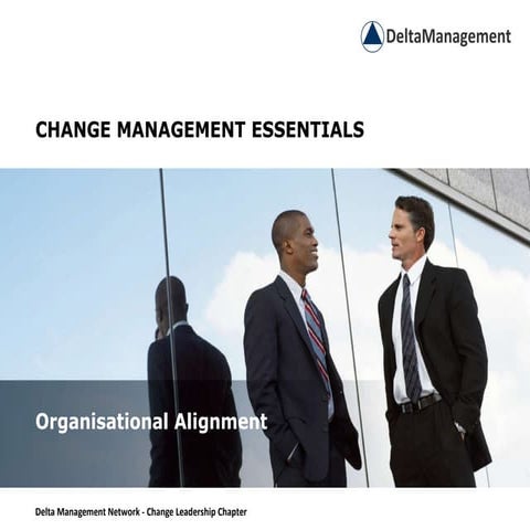 Dmn Org Aligment Essentials