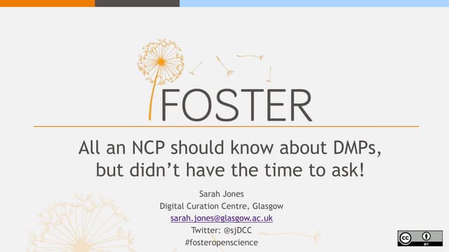 All an NCP should know about DMPs, but didn't have the time to ask