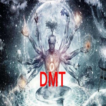 Dmt