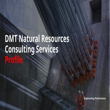 DMT - Profile Brief About Business .pptx