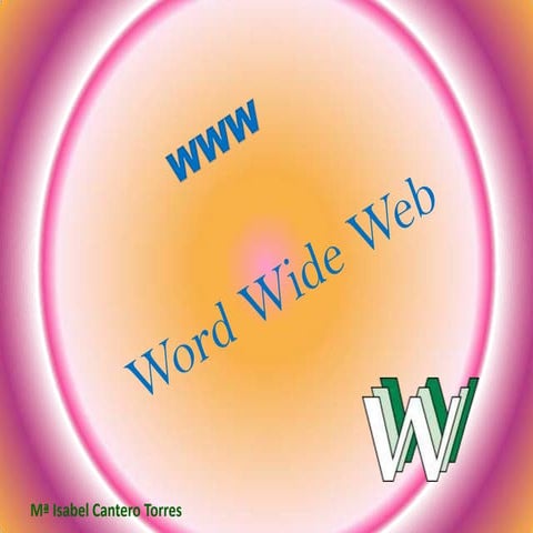 WORLD WIDE WEB