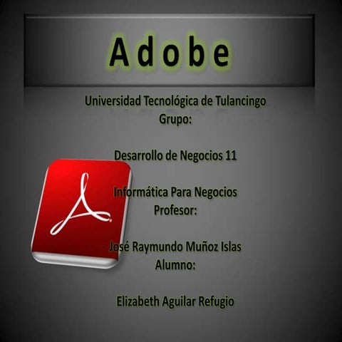 Adobe Reader, Flash, Flash Player
