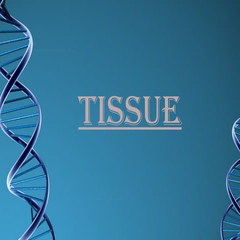 basics of tissue