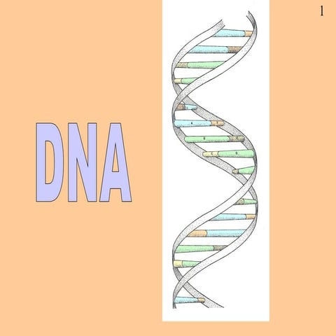 Dna