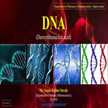 DNA (Deoxyribonucleic acid)