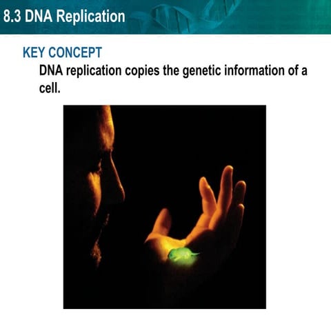 dna introduction for education for students.ppt