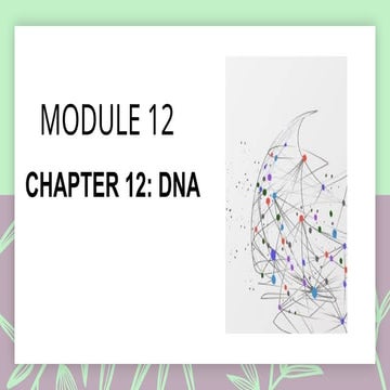 Chapter 12: Deoxyribonucleic acid DNA.pptx