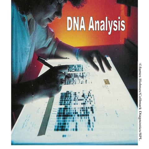 Comprehensive Overview of DNA Analysis and Genetic Fingerprinting ...