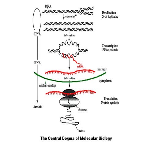 Clase 4 Diplomado Quimica Ambiental UdeC 