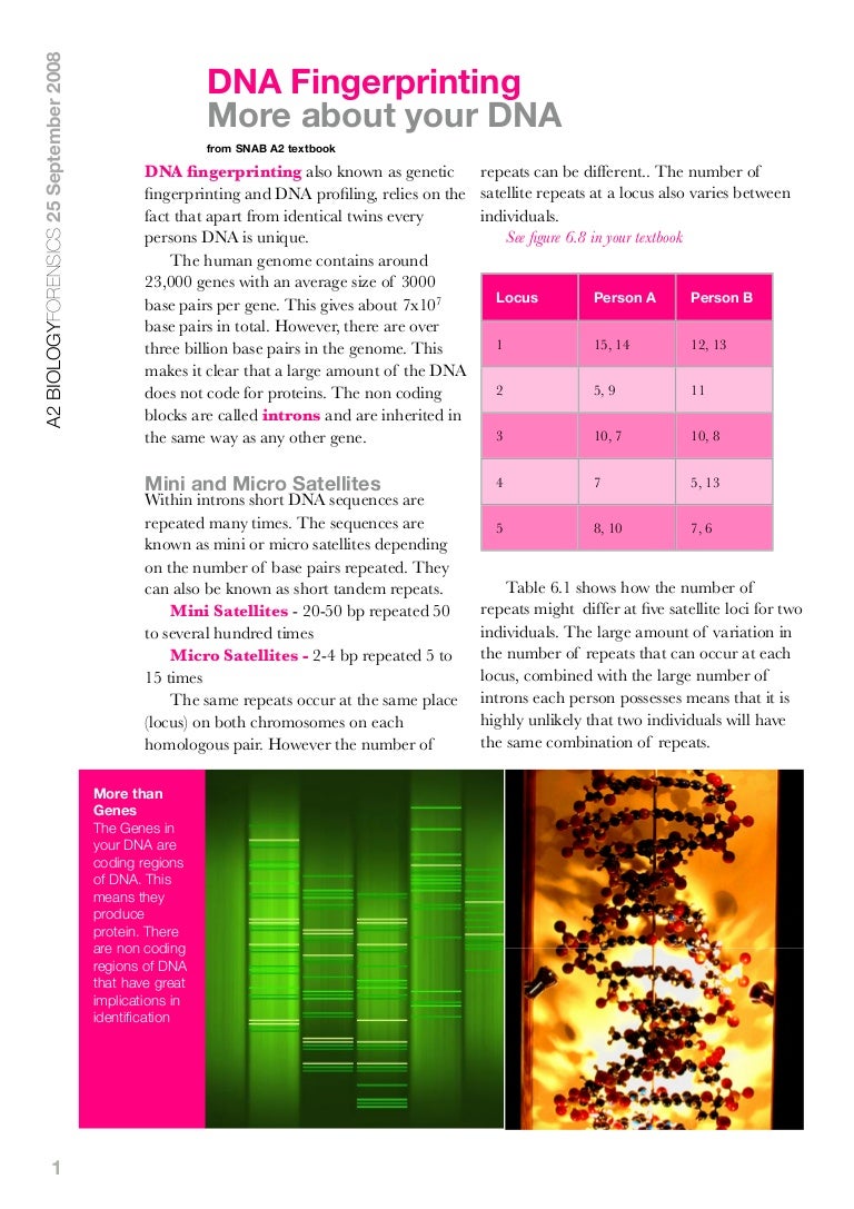 Dna Fingerprinting 2