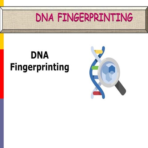 DNA-Fingerprinting power point presentation
