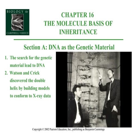 Dna History And Replication Review | PPT