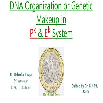 DNA organization or Genetic makeup in Prokaryotic and Eukaryotic Systems